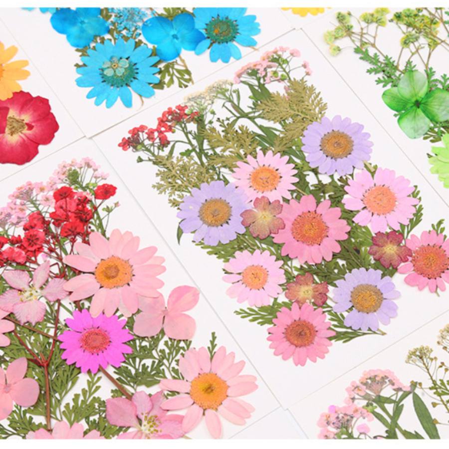 Un-dyed Natural Pressed Dried  - Dried Flower Bookmark recensie en prijs