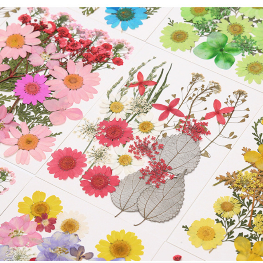 Un-dyed Natural Pressed Dried  - Dried Flower Bookmark recensie en prijs