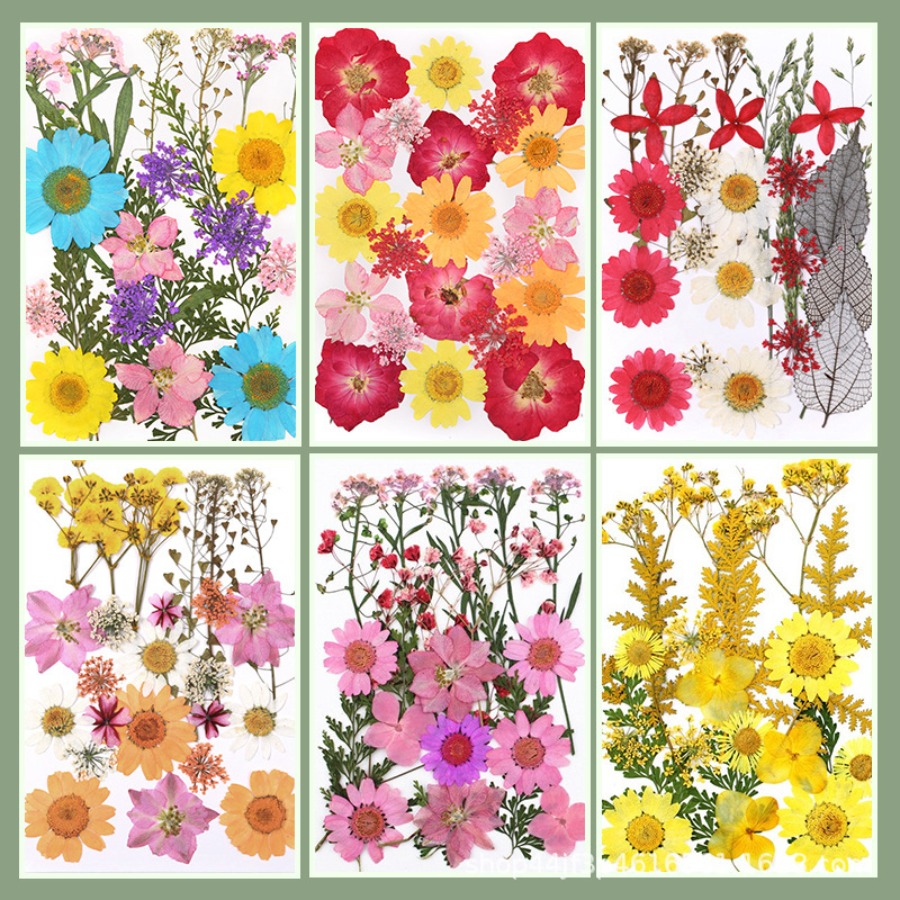 Un-dyed Natural Pressed Dried  - Dried Flower Bookmark recensie en prijs