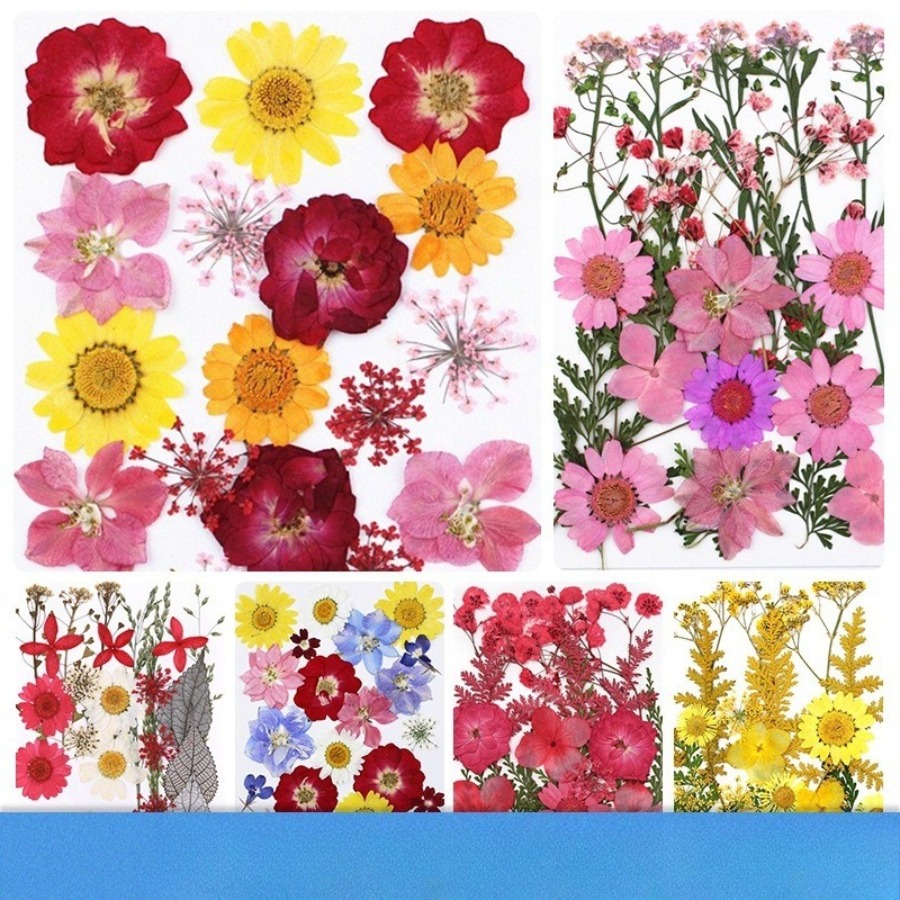 Un-dyed Natural Pressed Dried  - Dried Flower Bookmark recensie en prijs