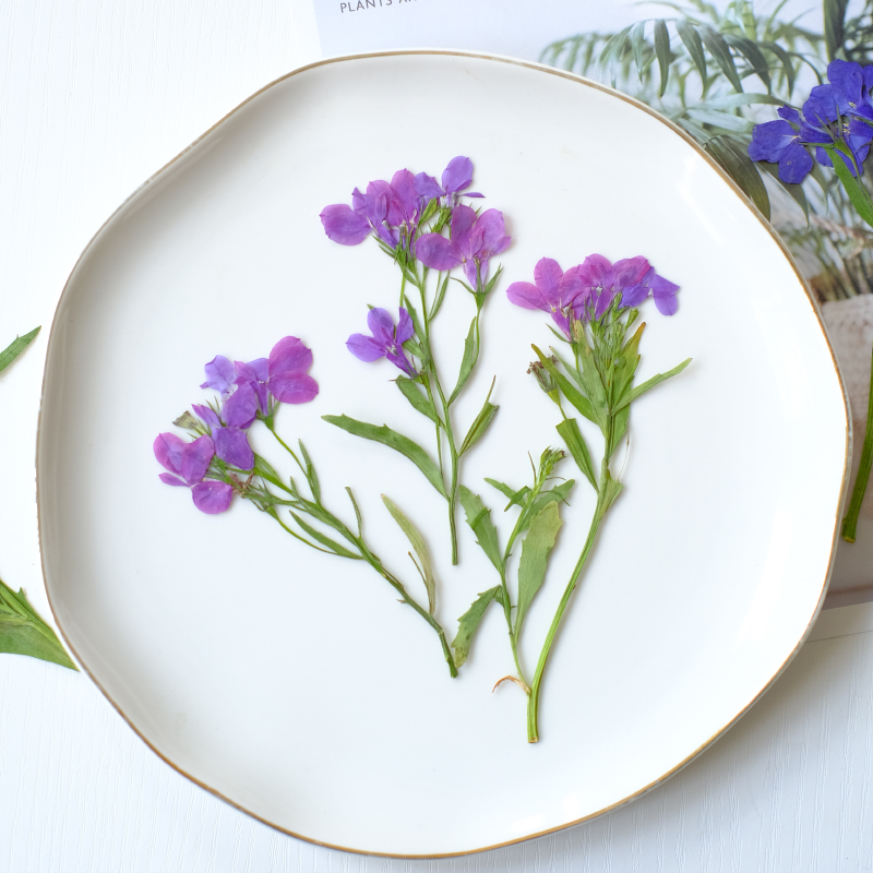 6pcs/8-13cm,nature Lobelia Eri - Dried Flower Bookmark recensie en prijs