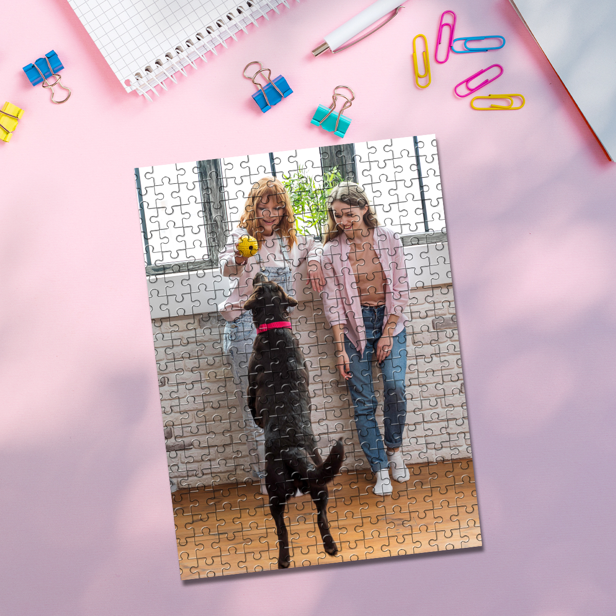 35/150/300/500/1000pcs Persona - Pet Portrait Custom recensie en prijs