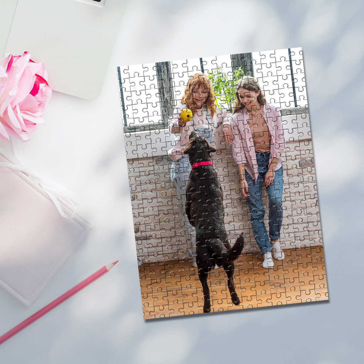 35/150/300/500/1000pcs Persona - Pet Portrait Custom recensie en prijs