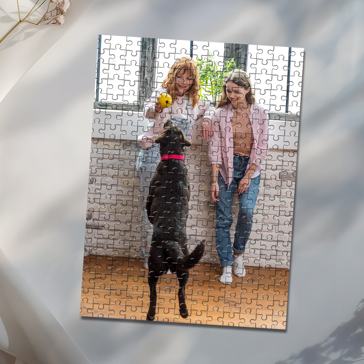 35/150/300/500/1000pcs Persona - Pet Portrait Custom recensie en prijs