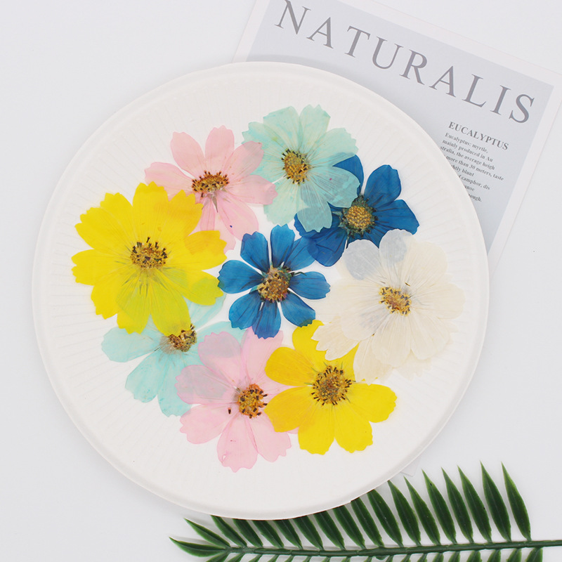 36Pcs Large Cosmos Flower Drie - Dried Flower Bookmark recensie en prijs
